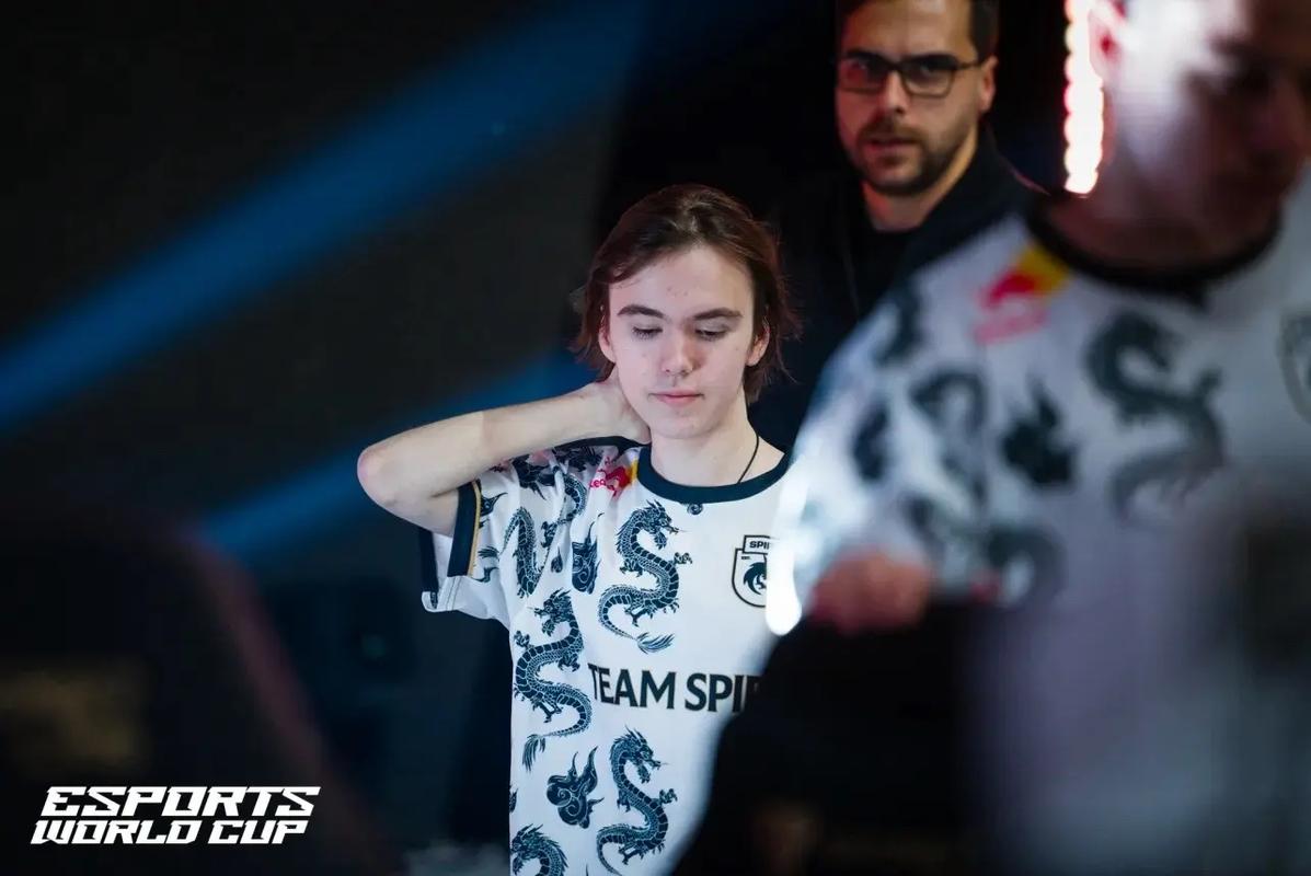 SI的经验 SI的经验