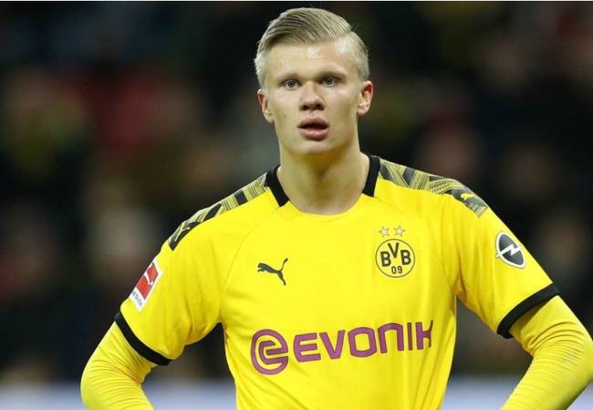 蓝鸟也可能 蓝鸟也可能